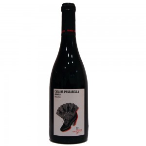 passarela-abanico-2011-1